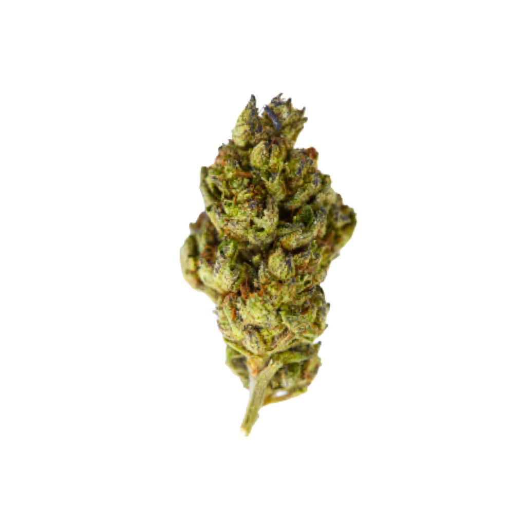 THCA Flower | ZaZa | Indica | 1g